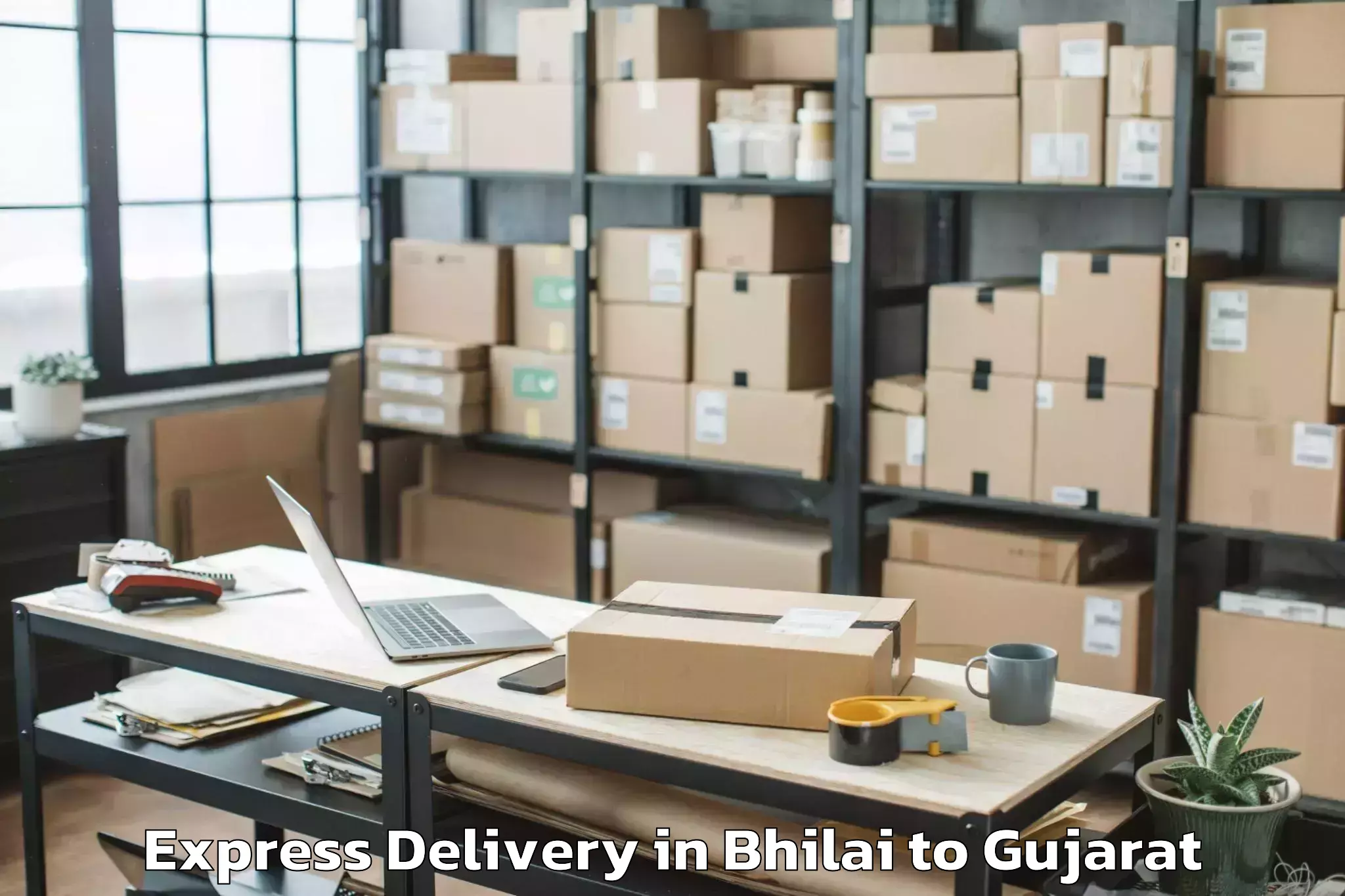 Book Bhilai to Jhagadia Express Delivery Online